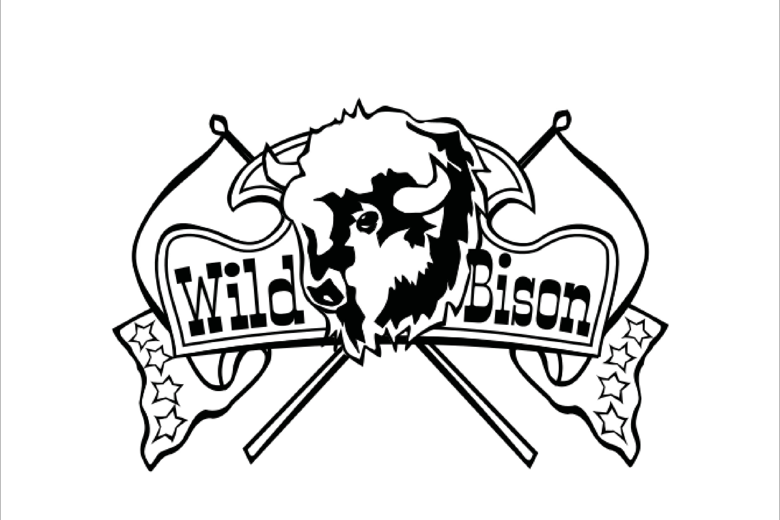 Wild Bison Linedance Logo Design