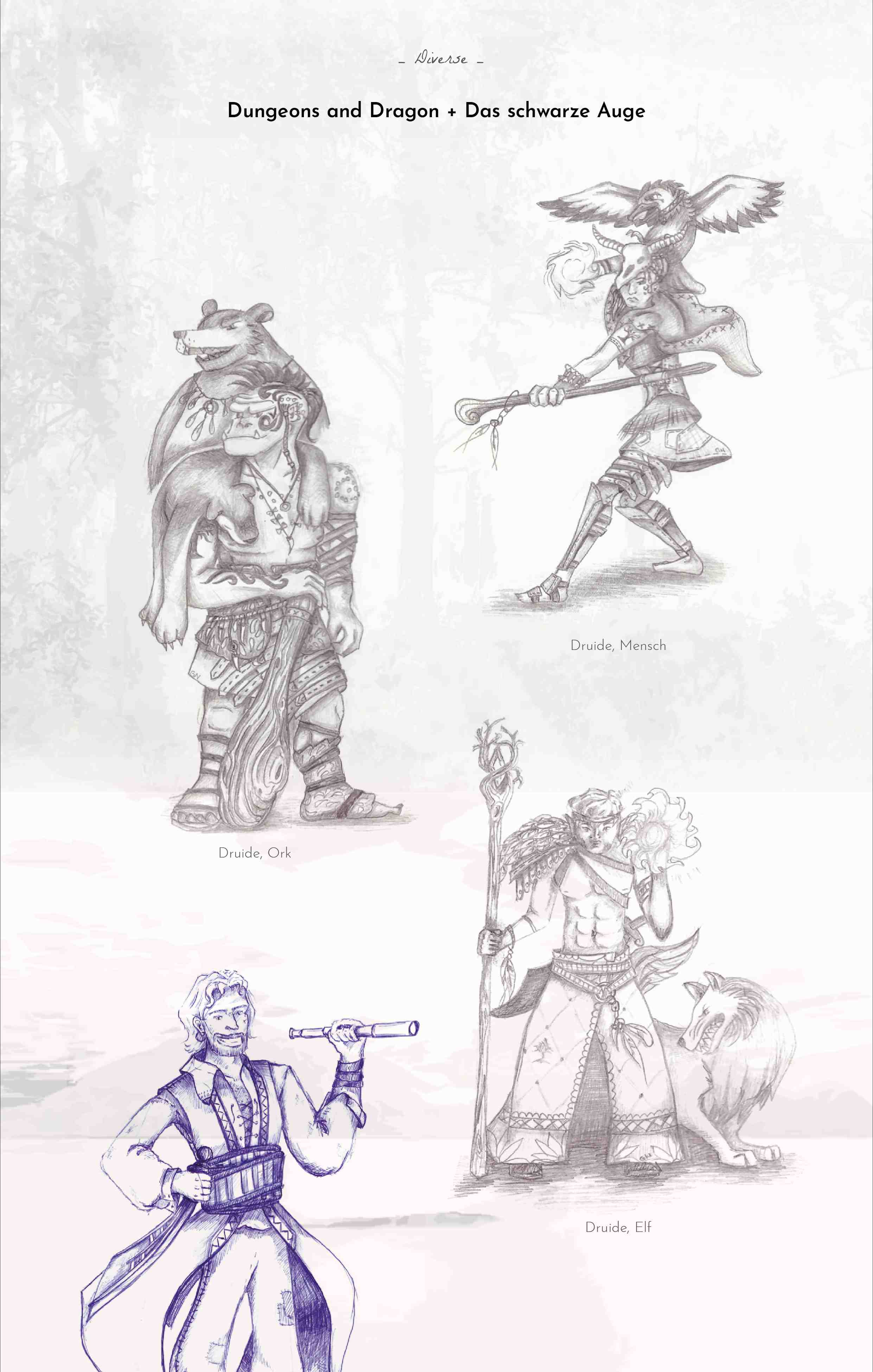 Pen and Paper Charakterdesign Druide Mensch, Druide Ork, Druide Elf, Pirat